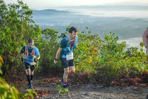 BIB: 
                            <button type="button" onclick="openModal(21875837)" class="btn btn-primary btn-sm float-right btn-popup" data-toggle="modal" data-target=".modal-high-quality">
                        <i class="fas fa-shopping-cart"></i> Add to Cart
                    </button>
                                            <button type="button" onclick="isThisMe(21875837, true)" class="btn btn-success btn-sm float-right btn-popup btn-isme hidden" data-toggle="tooltip" data-placement="bottom" title="นี่คือรูปของคุณใช่ไหม คลิกที่นี่เพื่อเอาเข้าอัลบั้ม">
                        <i class="fas fa-plus"></i> Add to album
                    </button>
                    <button type="button" onclick="isThisMe(21875837, false)" class="btn btn-warning btn-sm float-right btn-popup btn-isnotme hidden">
                        <i class="fas fa-ban"></i> Remove from album
                    </button>